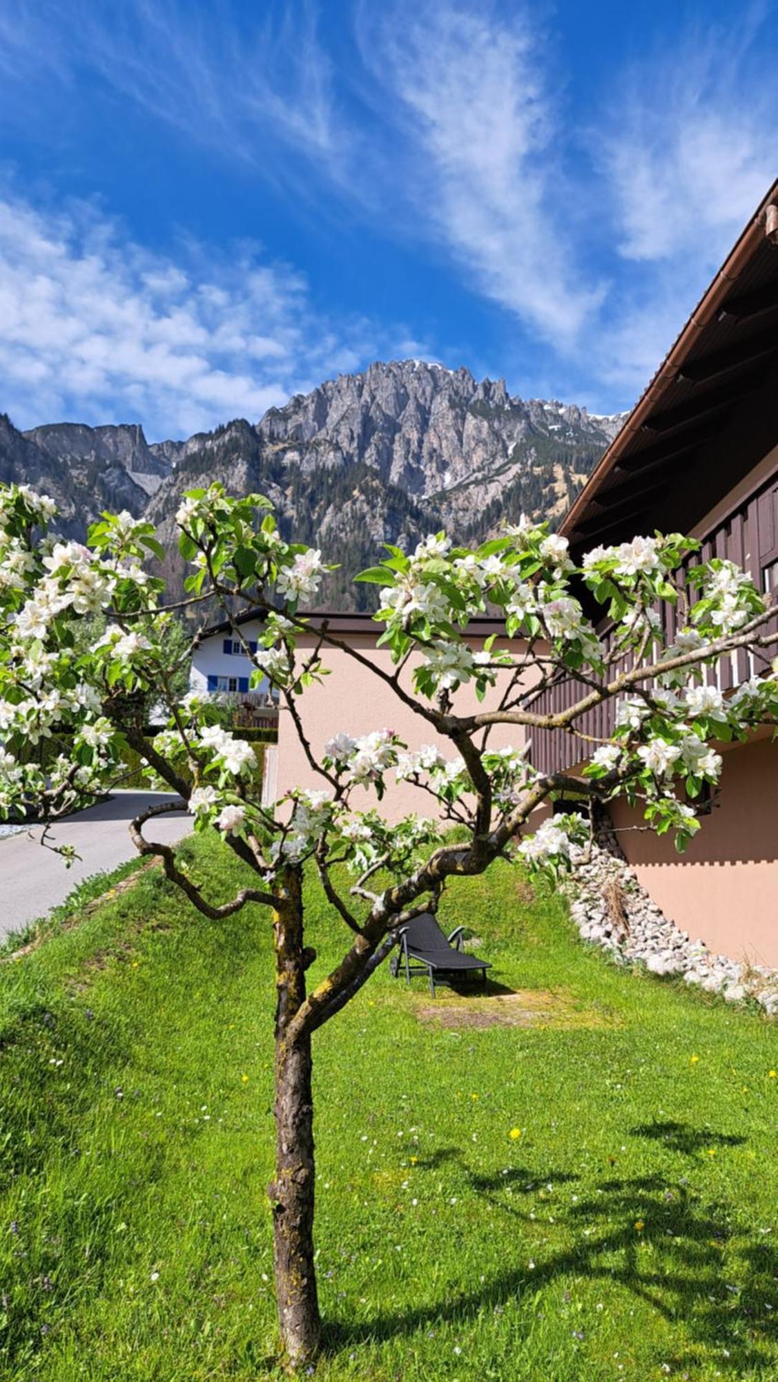 Baers Mountain Stay Ausserbraz Innerbraz Dış mekan fotoğraf