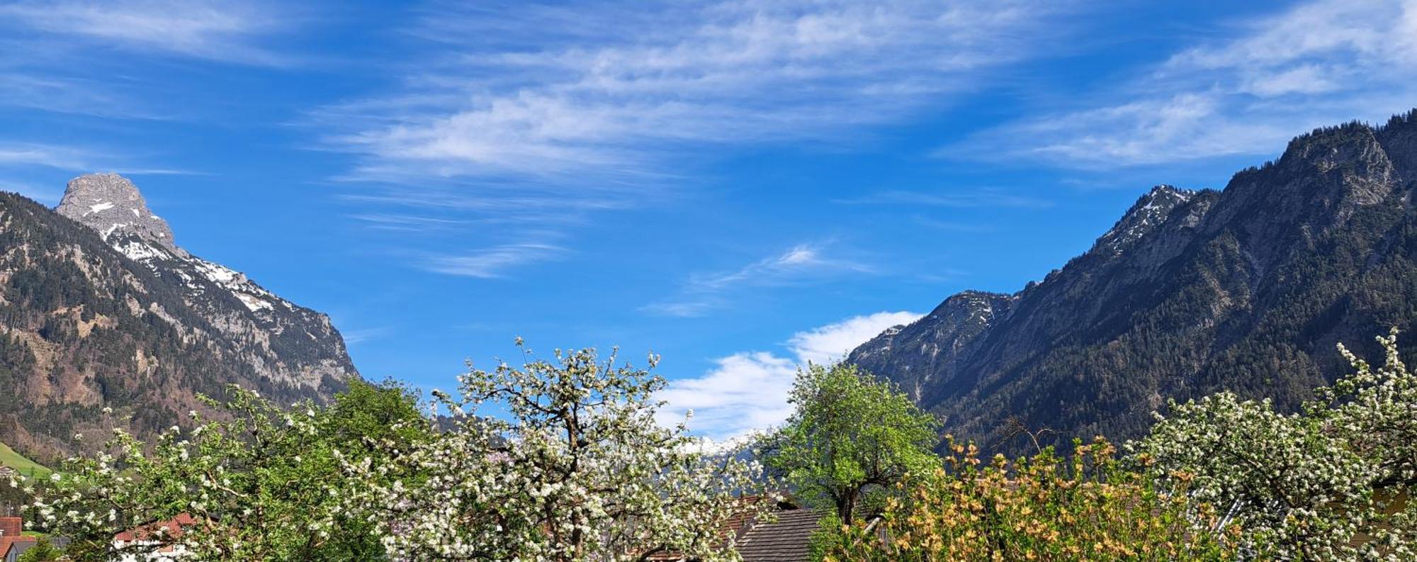 Baers Mountain Stay Ausserbraz Innerbraz Dış mekan fotoğraf