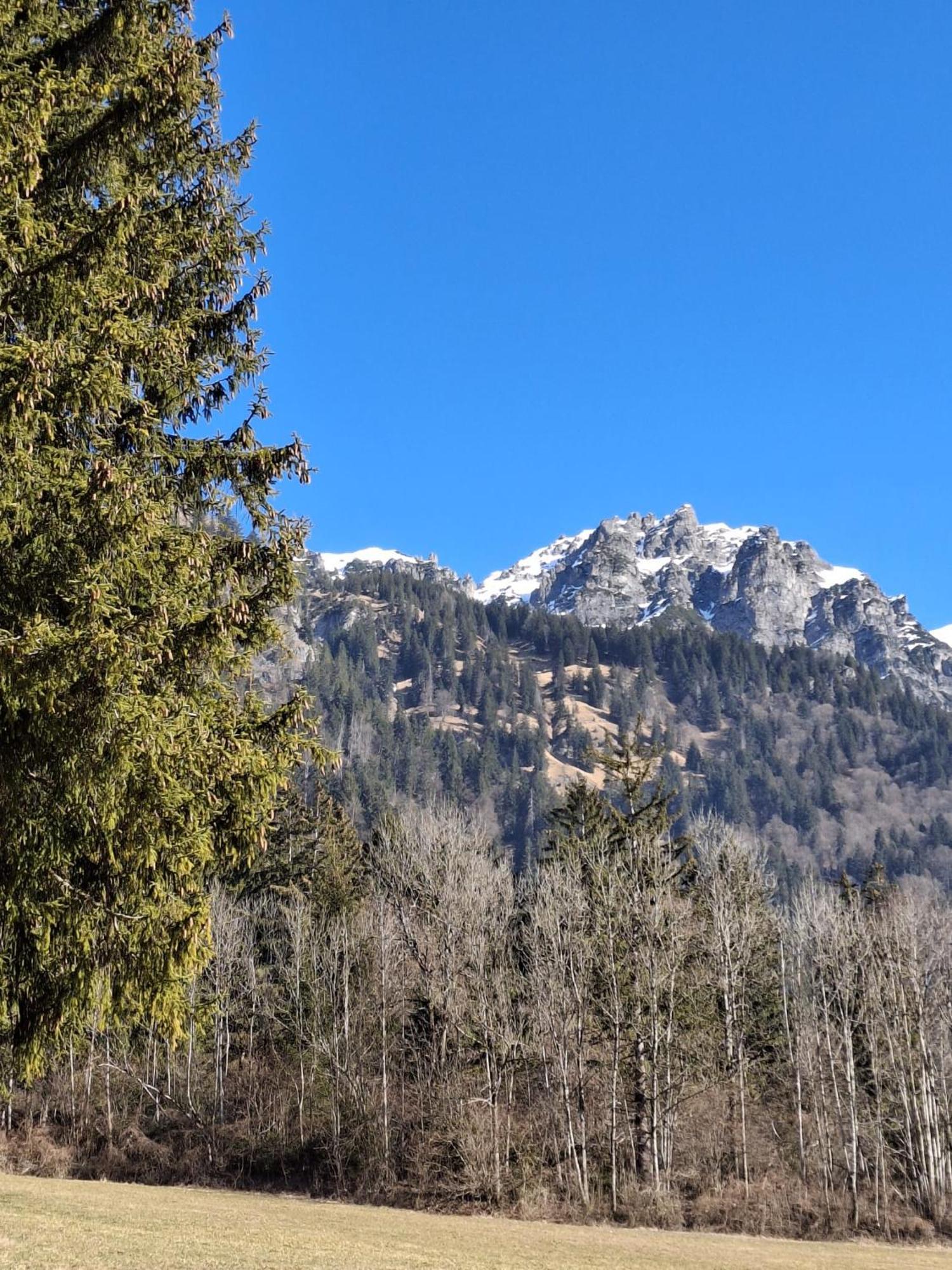 Baers Mountain Stay Ausserbraz Innerbraz Dış mekan fotoğraf