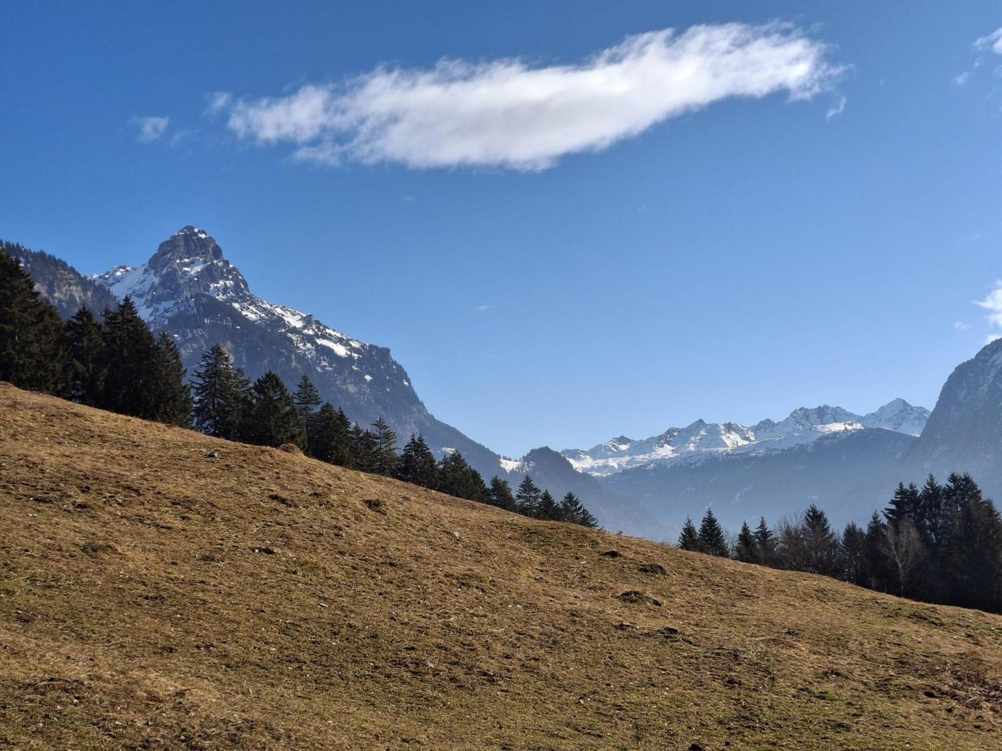 Baers Mountain Stay Ausserbraz Innerbraz Dış mekan fotoğraf